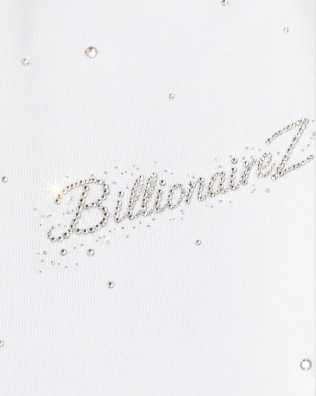VVS Diamond Studded RR Wide-Leg Pants